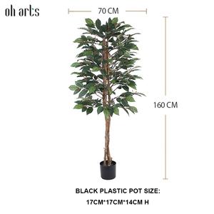 Gran oferta, 160cm, 63 pulgadas, árbol <span class=keywords><strong>de</strong></span> <span class=keywords><strong>cacao</strong></span> artificial decorativo, árbol <span class=keywords><strong>de</strong></span> café artificial para sala <span class=keywords><strong>de</strong></span> estar, balcón, esquina, decoración <span class=keywords><strong>de</strong></span> oficina - Product Image 2