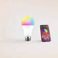 Ampoule LED sans fil 15W, contrôle vocal Alexa, gradation de tonalité, design graffiti, interrupteur en aluminium E27 B22