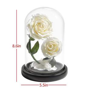 2 pezzi di rose eterne conservate <span class=keywords><strong>in</strong></span> Mini <span class=keywords><strong>vaso</strong></span> di vetro fresco naturale rosso fiori veri Custom Logo scatola regalo natale san valentino - Product Image 3