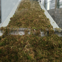 Ligne de production d'herbes chinoises rentable 1-5 TPH Séchoir à réglisse Graines de citrouille Stevia Ginseng Séchoir à produits agricoles