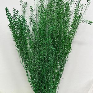 Émeraude séchée préservée à faible taux <span class=keywords><strong>de</strong></span> bris pour <span class=keywords><strong>bouquet</strong></span> <span class=keywords><strong>de</strong></span> fleuriste, matériau assorti pour bouquets séchés finis - Product Image 5