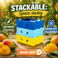 Boîte de stockage réfrigérée en plastique alvéolaire PP de 5 mm, 600x400x300 mm, pour fruits, vente en gros, OEM/ODM disponible