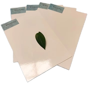 FRP Gel tráng tấm với độ bóng cao hoặc Matt kết thúc GRP tấm cho lạnh xe tải Đoàn Lữ Hành và xây dựng siding - Product Image 2