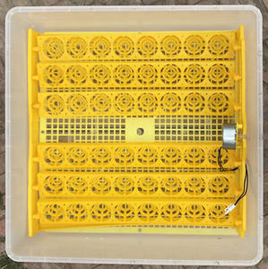 Incubadora automática <span class=keywords><strong>de</strong></span> <span class=keywords><strong>huevos</strong></span> <span class=keywords><strong>de</strong></span> pollo, máquina <span class=keywords><strong>de</strong></span> incubación <span class=keywords><strong>de</strong></span> 48 <span class=keywords><strong>huevos</strong></span> <span class=keywords><strong>de</strong></span> pollo, venta al por mayor, bajo <span class=keywords><strong>precio</strong></span> - Product Image 4