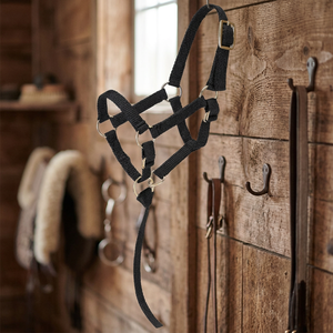 Harnais de Selle Anglaise de Haute Qualité pour Cheval, Équipement d'Équitation Polo, Bandeau de Nez Rembourré en Tissu, Équipement de Spectacle Polyvalent, Vente en Gros OEM - Product Image 5