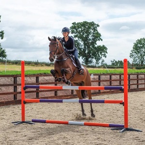 Poteaux De Saut D'Obstacles Quart De Coupe - Bois 3m X 10cm - Wilcox At Edgemere