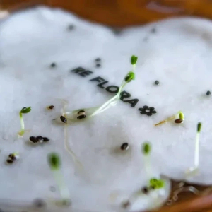 Tùy Chỉnh <span class=keywords><strong>Handmade</strong></span> Thân Thiện Với Môi Tag Bột Giấy Trồng Hạt Giống Giấy Logo Dập Nổi Kinh Doanh Thẻ Thủ Công Giấy Màn Hình In Ấn Quà Tặng Số Lượng Lớn - Product Image 5