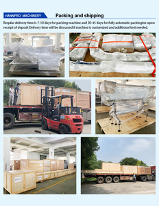 Máquina Etiquetadora Automática para Bolsitas de Nicotina Multi-canal Merz SNus, Máquina para Etiquetar SNus, Máquina Empacadora Automática de Polvo SNus - Product Image 6