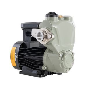 300W Autoadescante <span class=keywords><strong>Pompa</strong></span> <span class=keywords><strong>Acqua</strong></span>, <span class=keywords><strong>Serbatoio</strong></span> di <span class=keywords><strong>Acqua</strong></span> Calda ac 220v mini <span class=keywords><strong>pompa</strong></span> ad <span class=keywords><strong>acqua</strong></span> - Product Image 2