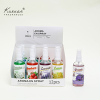 Spray Parfum Maison 100 ml Offre Spéciale, Senteur Fruits Frais & Fleurs, Pour Aromathérapie, Plaisir Sans Odeur pour Chambre, avec Coffrets Diffuseurs à Bâtonnets