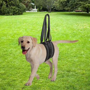 Arnés de Asistencia para Perros, Negro, Talla S-L, Ajustable, Soporte para Perros Grandes, Ayuda para la Movilidad, Caminata, Rehabilitación y Cuidado - Product Image 3