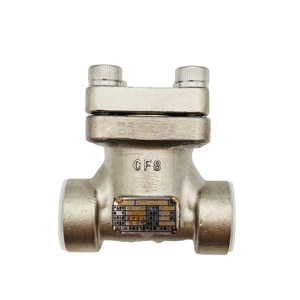 Válvula de retención criogénica para gas líquido, DN20, <span class=keywords><strong>PN50</strong></span>, Lng, Ln2, Lar, Lo2 - Product Image 1