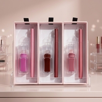 OEM ODM Coffret Maquillage Lèvres Rose Cadeau, Gloss à Lèvres au Peptide, Crayon à Lèvres, Votre Logo, Ensembles Gloss et Teinture à Lèvres Hydratants, Marque Privée