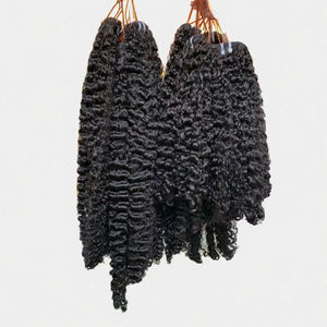 Extensions de cheveux naturels vietnamiens Remy en lots et perruques, longueur étirée de 14 pouces, frontal HD avec tissage de cheveux bouclés style birman - Product Image 2