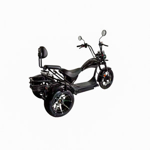 Scooter électrique Citycoco à 3 roues, pneus larges, moteur puissant 2000W, étanche, moto électrique à trois roues pour le golf, directement de l'usine - Product Image 3