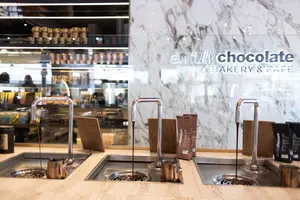 LST Hot Sale Kommerzieller Heiß schokoladen spender Automatische Schmelz maschine für Erdbeer beschichtung Schokoladen maschine