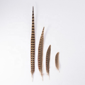 <span class=keywords><strong>Plumas</strong></span> de Faisán de Alta Calidad de 10-15 cm para Tocados, Disfraces, Accesorios de Cine, Decoraciones Retro, Sombreros y Accesorios para Sombreros - Product Image 1