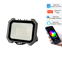 Projecteur LED RGB d'Ambiance pour Fête, Lumière Changeante de Couleur, Télécommande, Contrôle TUYA, Projecteur d'Extérieur pour Paysage, Lampe Maison Intelligente