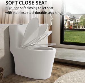 Kép tuôn ra kéo dài tiêu chuẩn một mảnh nhà vệ sinh với chỗ ngồi thoải mái Chiều cao mạnh mẽ yên tĩnh kép tuôn ra nhà vệ sinh hiện đại Nhà cung cấp - Product Image 4