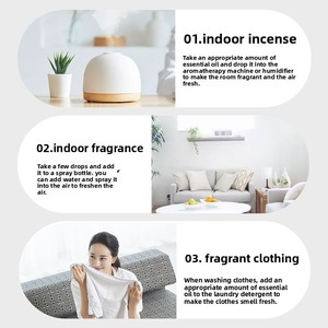 Recambios de Aceites Esenciales <span class=keywords><strong>para</strong></span> Aromaterapia, Aroma a Artemisia y Limoncillo, Fragancia Soluble en Agua <span class=keywords><strong>para</strong></span> <span class=keywords><strong>Humidificadores</strong></span> Domésticos, Venta al por Mayor - Product Image 3