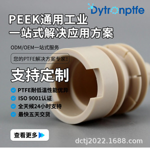 Pièces en PEEK Dytronptfe DC-022 moulées par injection sur mesure pour applications industrielles - Product Image 4