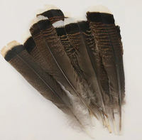 Plume de dinde naturelle véritable pour l'artisanat, le bricolage, les coiffures, les chapeaux, les accessoires de costume, les fêtes de carnaval, les mariages, la décoration florale à la maison