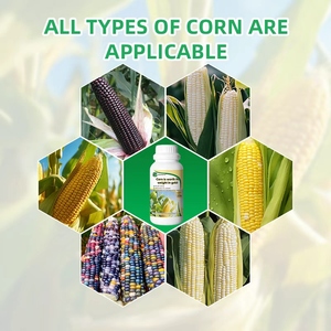 Sıvı devlet gübre bileşik gübre alanlarda bol verim artışı teşvik için yüksek verimli mısır gübre - Product Image 3