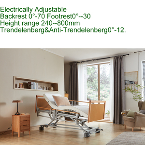 Camas Eléctricas Sanatorias con Rodillos Silenciosos Tecforcare OEM y ODM, Camas Médicas con Respaldo para Cuidado en el Hogar - Product Image 2