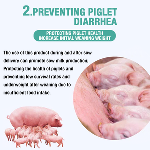 Additif alimentaire en poudre pour porcs sous marque privée, stimulant de lait maternel pour truies, améliore la qualité du lait, augmente la production de lait maternel chez les truies, bovins, paquet de 100g - Product Image 6