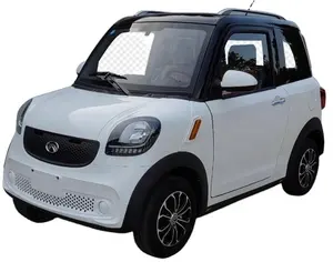 Made In China Vehicle Price Hot Small Cars Selling Low Speed Electric