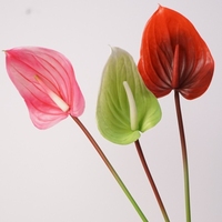 Fleur artificielle réaliste Anthurium rose, verte et bordeaux de haute qualité pour la décoration de tables de mariage et la maison, vente en gros