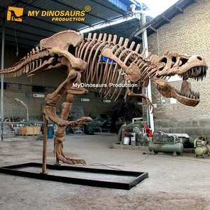 MyDinosaurs Lebensgroßes T-Rex Skelett-Modell - Product Image 5
