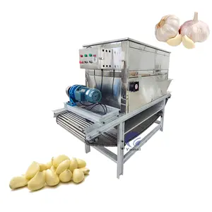 Industrial Air Stripping Garlic Bulb Breaking Peeling Machine Onion Peeling Machine with Air Compressor