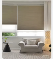 Persianas romanas dobles modernas, tela blanca transparente personalizada, característica opaca, cortinas integradas fáciles para sala de estar, plástico Horizontal