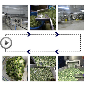 Okra đông lạnh nguyên quả, okra cắt sẵn đông lạnh và rau củ đông lạnh, năm sản xuất Sơn Đông, loại A, okra tươi đóng gói số lượng lớn, nguyên liệu tươi NL - Product Image 5