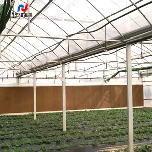 7090/7060/6090/5090 Wasserschleier-Kühlwand mit Aluminiumrahmen für Geflügelfarmen - Product Image 4