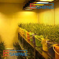 Phytotron économique pour blé avec contrôle environnemental stable pour chambre de culture de plantes à forte intensité lumineuse