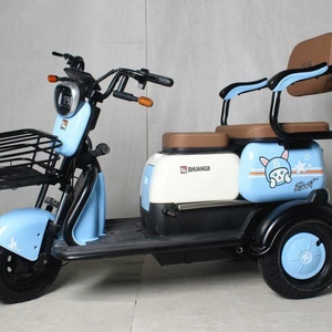 Triciclo Eléctrico Chino de Carga para Adultos, 1000W/500W, 3 Ruedas, Neumáticos Anchos, Venta al por Mayor - Product Image 2