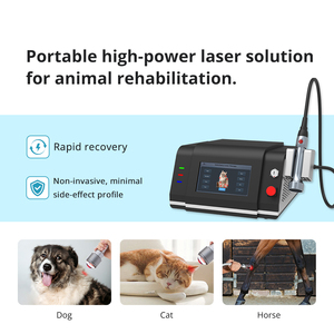 Perangkat Terapi Laser Kelas 4 Cerdas 980nm 810nm HLT untuk Pengobatan Nyeri pada Hewan, Cedera, dan Peradangan - Product Image 3