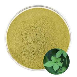 ผง Gynostemma Pentaphyllum 98% 50% เกรดอาหารบริสุทธิ์สารสกัดจาก Gynostemma - Product Image 1
