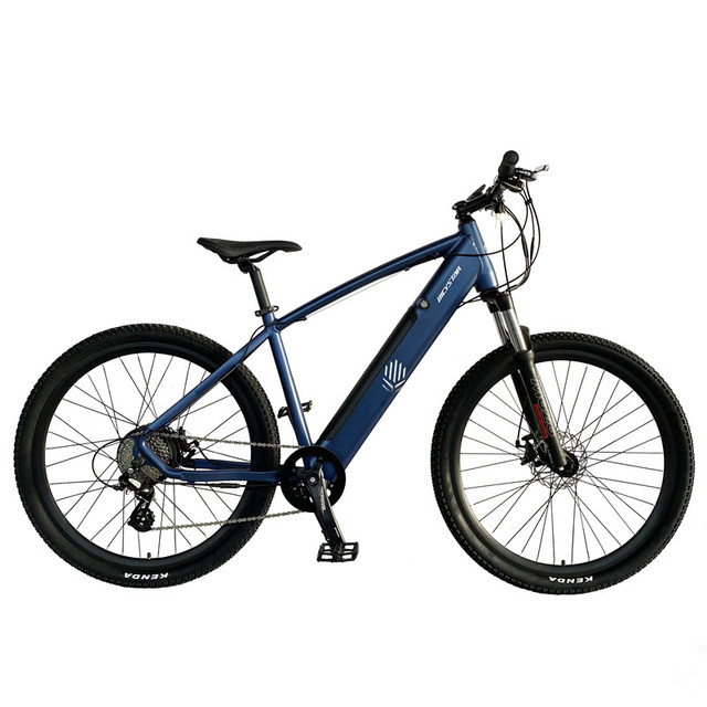 China Electric Bike 500w 1000w E-bike Bicycle Us $100