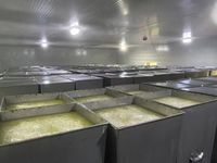 Extrait de menthe cristalline en gros - Exportateur de menthol en vrac - Qualité USP - Poudre de L-menthol de qualité cosmétique en vrac, fournie directement par l'usine, 25 kg/tambour