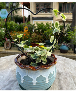 Treillis de <span class=keywords><strong>jardin</strong></span> en fer <span class=keywords><strong>Support</strong></span> de plante en métal Piquet fleur bâtons d'escalade coeur forme ronde treillis de <span class=keywords><strong>jardin</strong></span> <span class=keywords><strong>pour</strong></span> plantes grimpantes en métal - Product Image 6