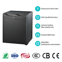 Mini réfrigérateur pour voiture et maison, acier inoxydable, 30L, réfrigérateur de beauté pour les soins de la peau, les boissons, petit réfrigérateur