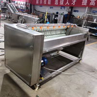 XINLONGJIA Beste Gember- en Wortelschilmachine Fruit- en Groenteschilmachine Aardappelwasmachine