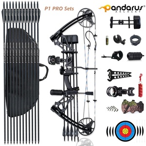 Nhà Máy Trực Tiếp Pandarus Bắn Cung 0-70lbs Người Lớn Nhôm Hợp Chất Bow Và Mũi Tên Bộ Cho Săn Bắn Ngoài Trời Chụp - Product Image 6