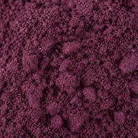 Natuurlijk Wild Vlierbessen Fruitpoeder FVP-37 Voedingskwaliteit Anthocyanine Instant Wateroplosbaar Sappoeder 1kg Trommel/Fles Verpakking