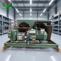 3hp 4hp 5hp 6hp 9hp 10hp 12hp 14hp 15hp 18hp 20hp 23hp 28hp 30hp 34hp 40hp Compresseur de chambre froide Prix de l'unité de condensation