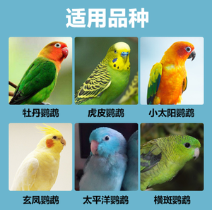 JONSANTY पक्षी तोता फ़ीड Budgerigar/Agapornis खाद्य डीलक्स पूर्ण पोषण पक्षी फ़ीड है। - Product Image 6