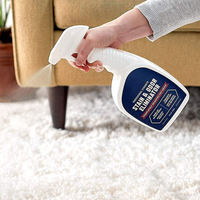 Marque privée 500ml/946ml désodorisant sûr et inoffensif odeur d'animal de compagnie urine éliminateur de tapis détachants nettoyant vaporisateur